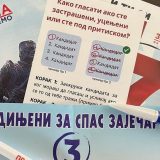 Izbori u Zaječaru: Za vlast nova, za opoziciju „možda poslednja prilika" 8