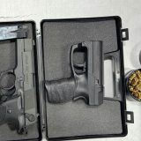 Uprava carina: Kod putnika na Horgošu pronađena dva pištolja i municija 8