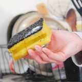 Kuhinjski sunđer ili četka za pranje sudova - šta je zdravije 4