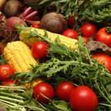 Zašto je malo organske poljoprivrede u Srbiji 5