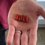 'Pilule sa izmetom' kao izbacivači opasnih superbakterija iz ljudskog organizma 5