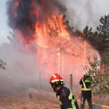Veliki požar na hrvatskom primorju: 'Branimo kuću po kuću' 7