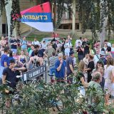 Slučajevi studenata Miloša Pavlovića i Petra Živkovića, sličnosti i razlike 5