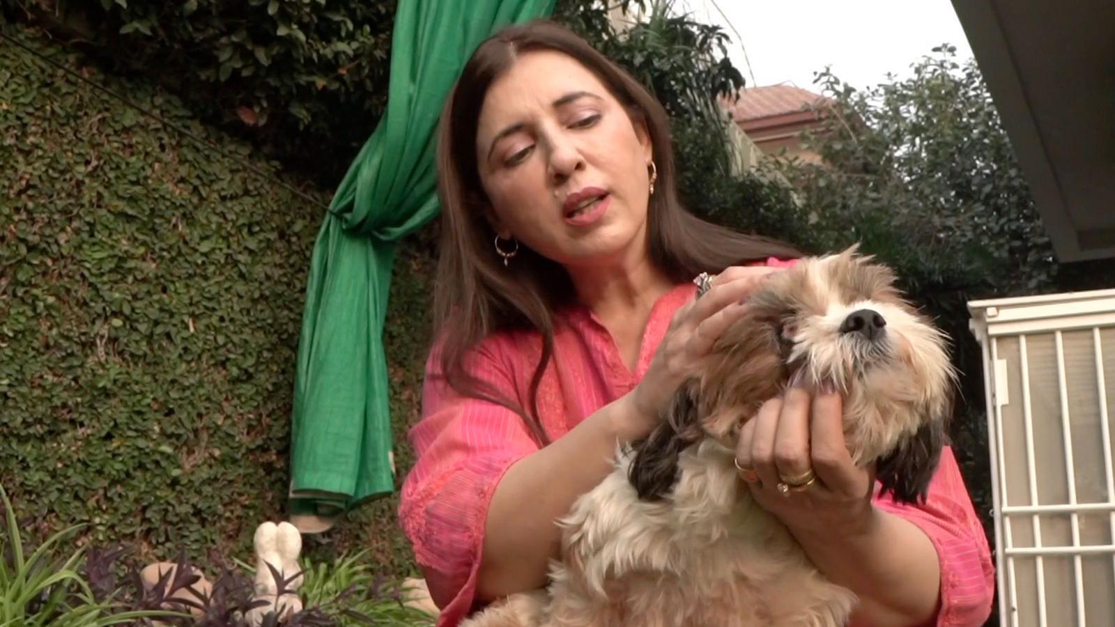 'Za mene je raj kad gledam bolesnu životinju kako se oporavlja' 3 Tanija Tadžik