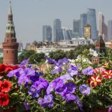 Oglasio se Kremlj o mirovnim pregovorima sa Ukrajinom 6