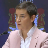 Brnabić: Nije tačno da je Srbija evropska kolonija za rudarenje 7
