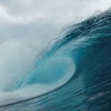 Zašto okeani postaju tamniji 6