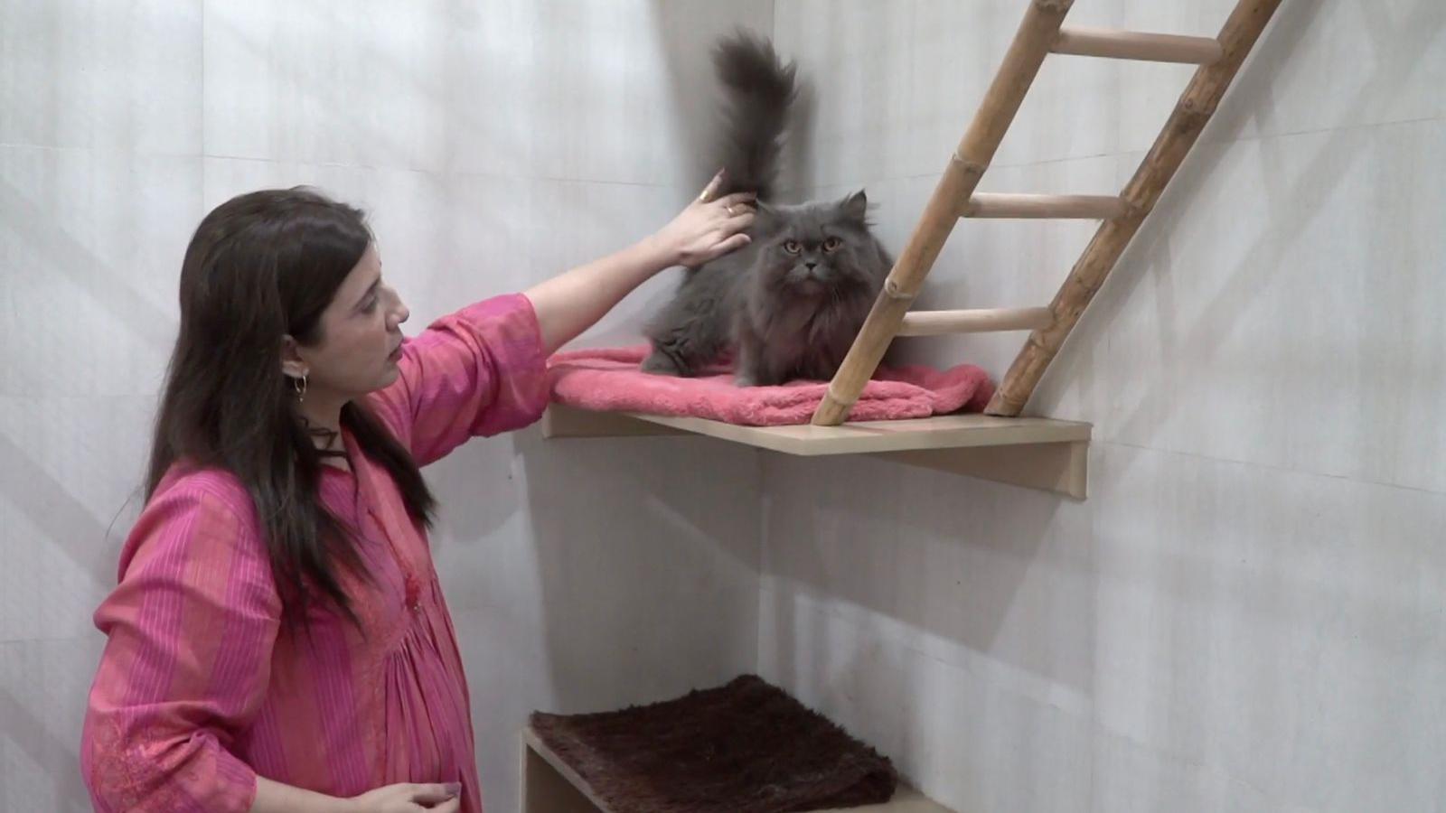 'Za mene je raj kad gledam bolesnu životinju kako se oporavlja' 2 Tanija Tadžik