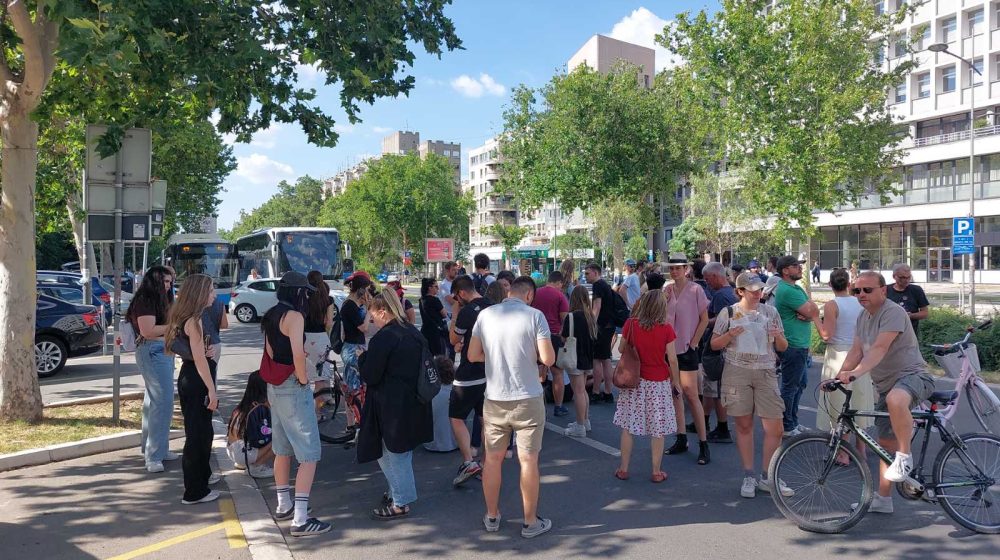 Pokret Bravo: Prase na protestu u Novom Sadu je podmetačina BIA 1