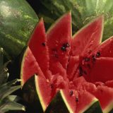 Trikovi koji će vam pomoći da izaberete najbolju lubenicu 3