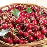 Kako da trešnje ostanu sveže danima: Pravila koja prave razliku 5