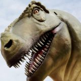 Zaboravite Tiranosaurus reksa – ovo sićušno stvorenje imalo je najoštrije zube u istoriji Zemlje 3