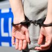 mup, policija