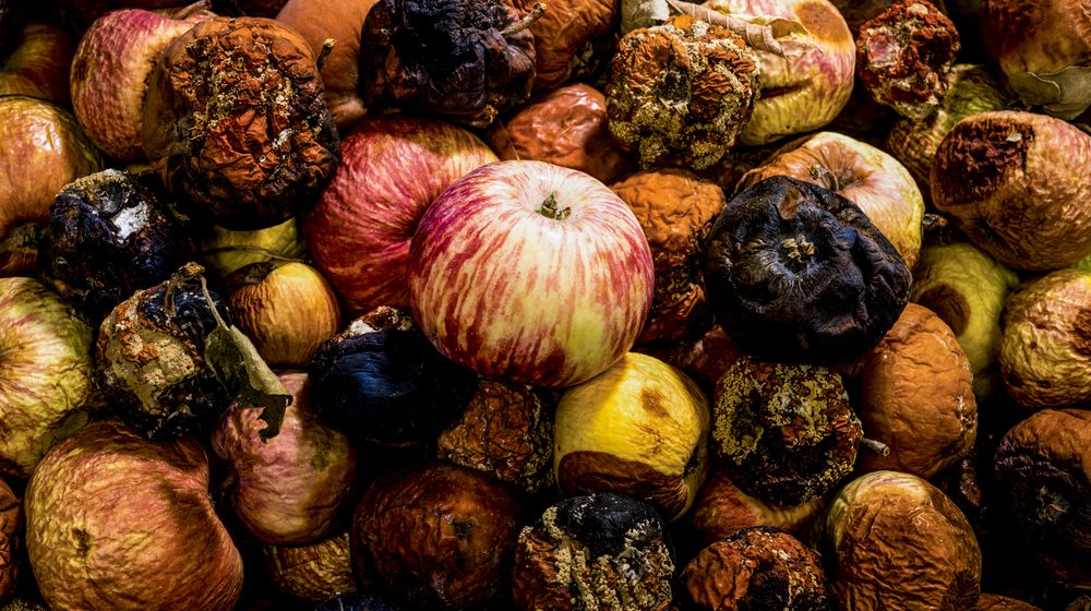 U Severnoj Makedoniji uništeno 56 tona nebezbedne hrane 1