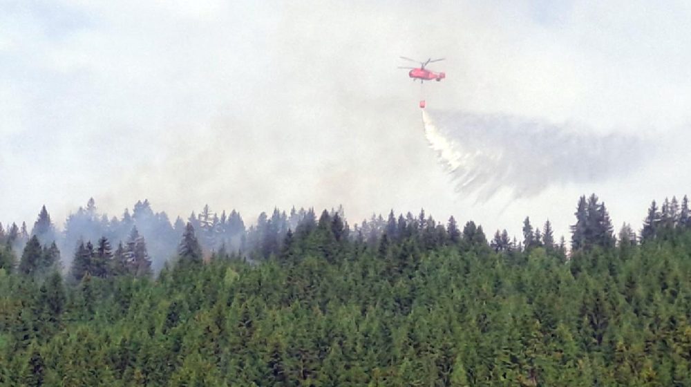 Dačić: Imali smo pozive za pomoć zemljama ugroženim požarima, ali prioritet je borba sa vatrom u Srbiji 1
