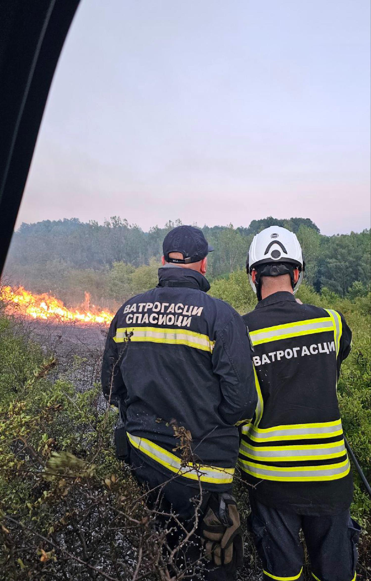 MUP: U Srbiji aktivno više od 100 požara na otvorenom, spaseno više od 10 osoba (FOTO) 2
