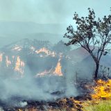Požari u Bugarskoj: Vatra može preći granicu sa Srbijom 13
