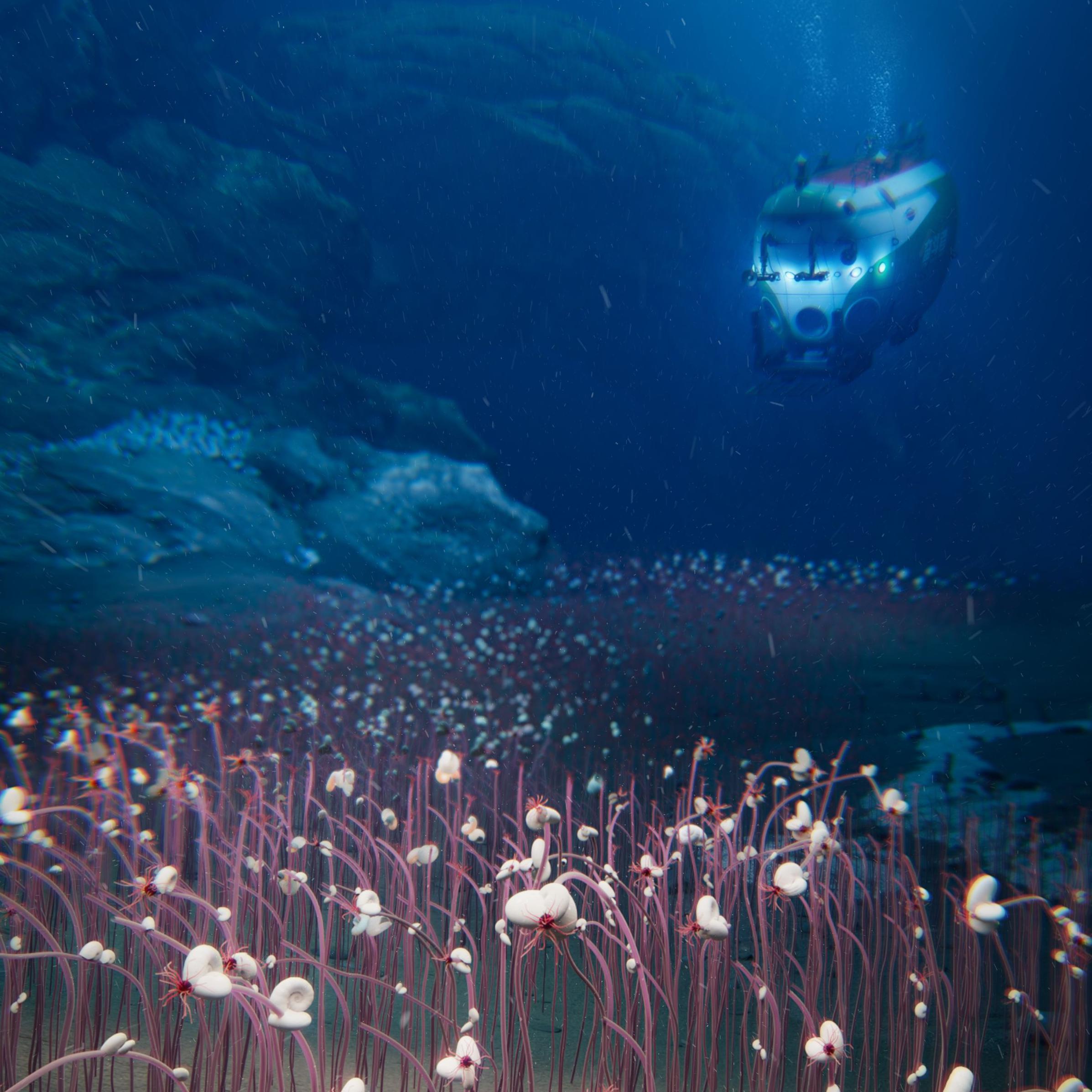 Tajanstveni svet: Neobični organizmi pronađeni u dubokom okeanu 3 Umetnički prikaz podmornice koja istražuje duboki okeanski rov ispunjen crvenkastim cevastim crvima koji izranjaju sa okeanskog dna.