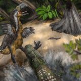 Praistorijska borba predatora: Ko je ubio 'pticu-teror' 4