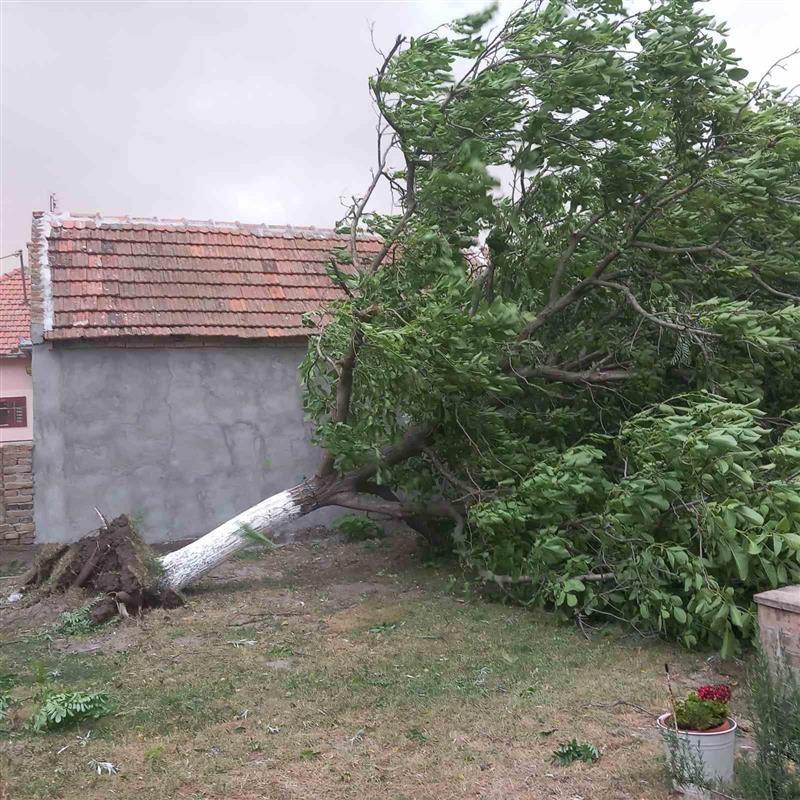 Selo Ilandža u opštini Alibunar