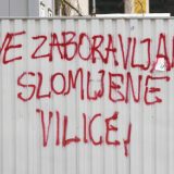 Ustavna žalba zbog Vučićevog pomilovanja "SNS junaka": Advokati oštećenih žaliće se i Evropskom sudu za ljudska prava 5