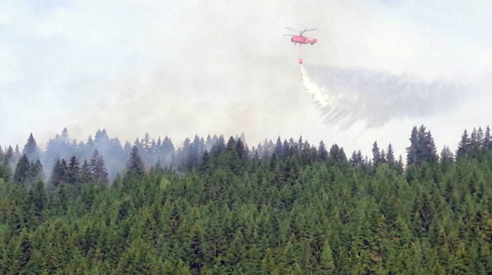 Stigao kanader iz Hrvatske, gasi požar iznad Čanja i Buljarice 1