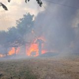 Talas požara zahvatio Srbiju: Koja područja su bila najviše pogođena? 14