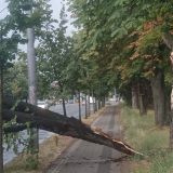 Jako nevreme pogodilo Kragujevac 8