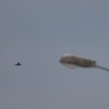 Avion pao nasred autoputa u Italiji (VIDEO) 9