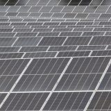 Solarne škole u Srbiji: Tri iz Kragujevca i jedna iz Vranja postale su kupci-proizvođači 3