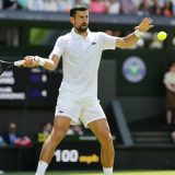 Novak Đoković, Vimbldon