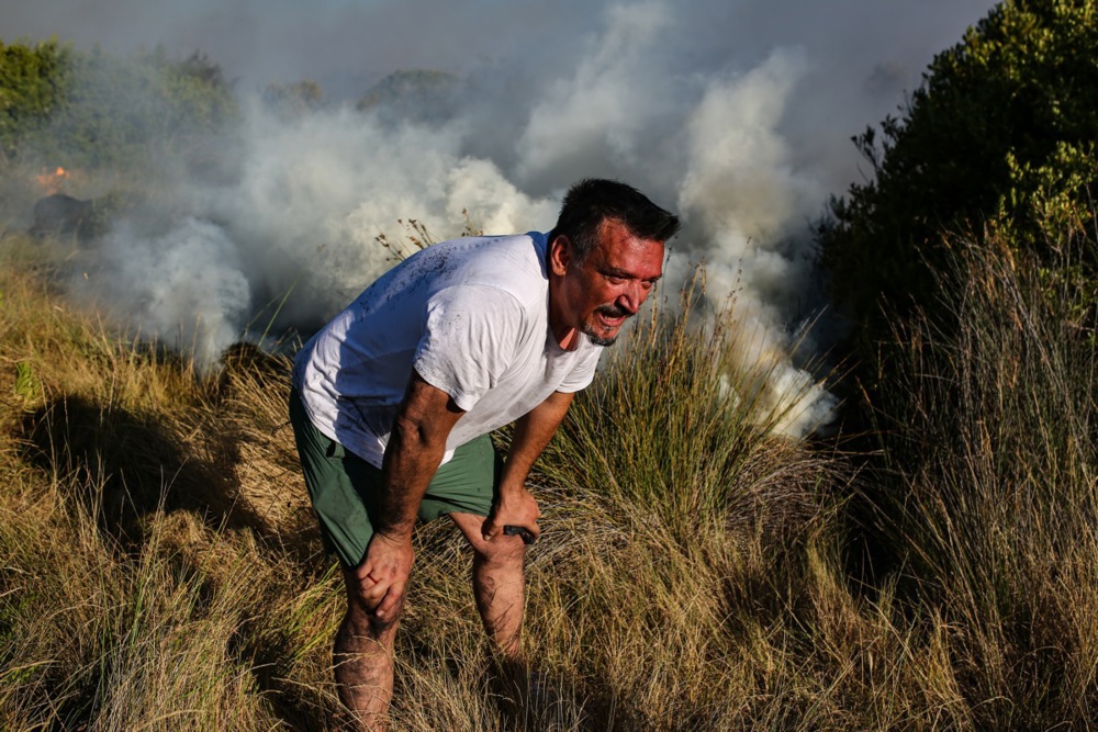 Požari na mediteranskoj obali Turske: Dve provincije proglašene zonom katastrofe 2 Požari na mediteranskoj obali Turske: Dve provincije proglašene zonom katastrofe 2