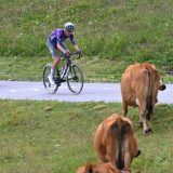 Promenjena etapa Tur d Fransa zbog zaraženih krava 8