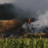 SRCE: Otkazati vojnu paradu zbog brojnih požara, novac preusmeriti za obuku vojske za podršku u vanrednim situacijama 4