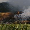 Požar u niškom naselju se proširio sa niskog rastinja na obližnje objekte 27