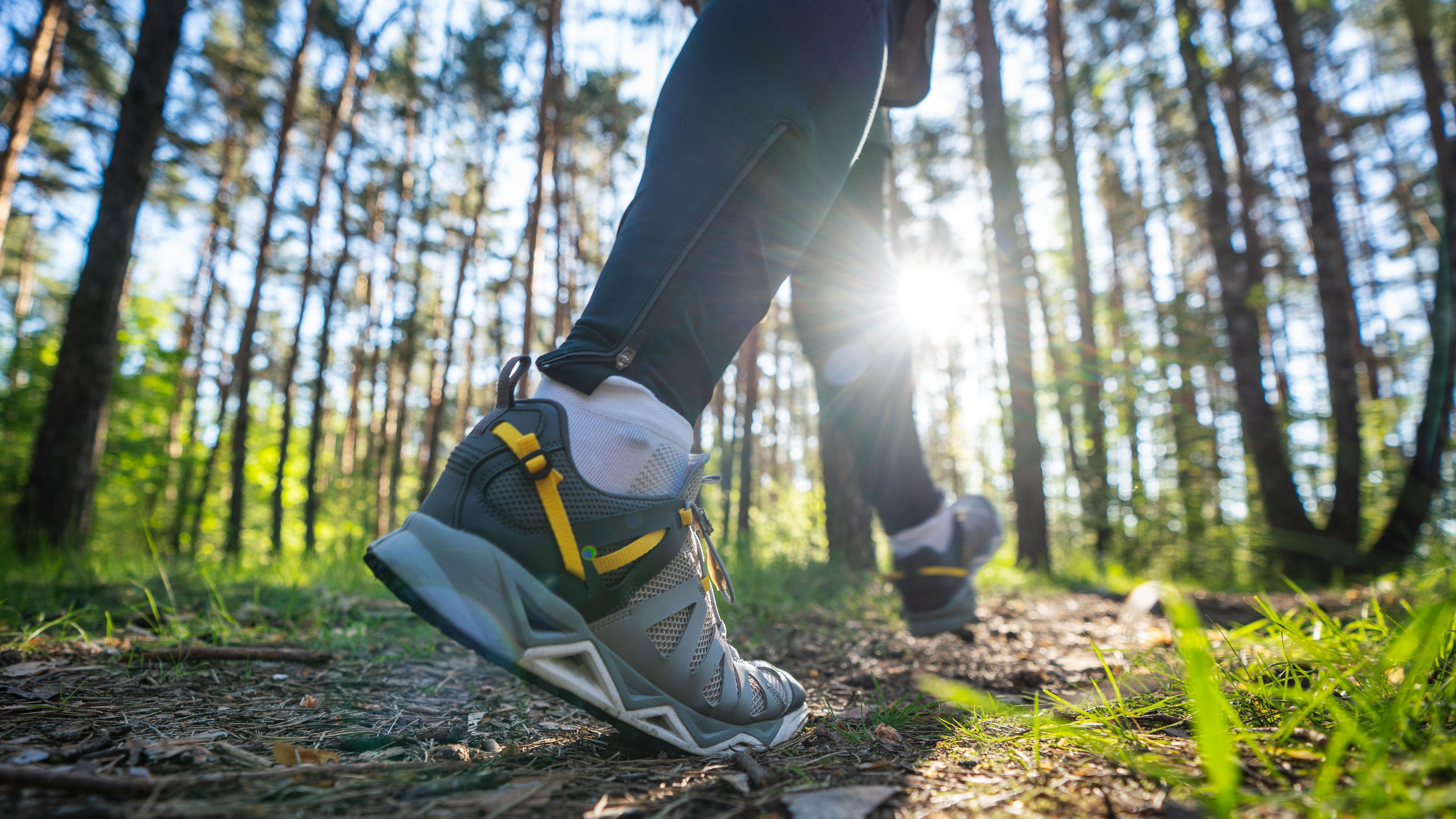 Da biste čuvali zdravlje dovoljno je i 7.000 koraka dnevno, ukazuje studija 2 Snimak osobe u patikama kako šeta kroz šumu. Drveće u pozadini, a sunce sija