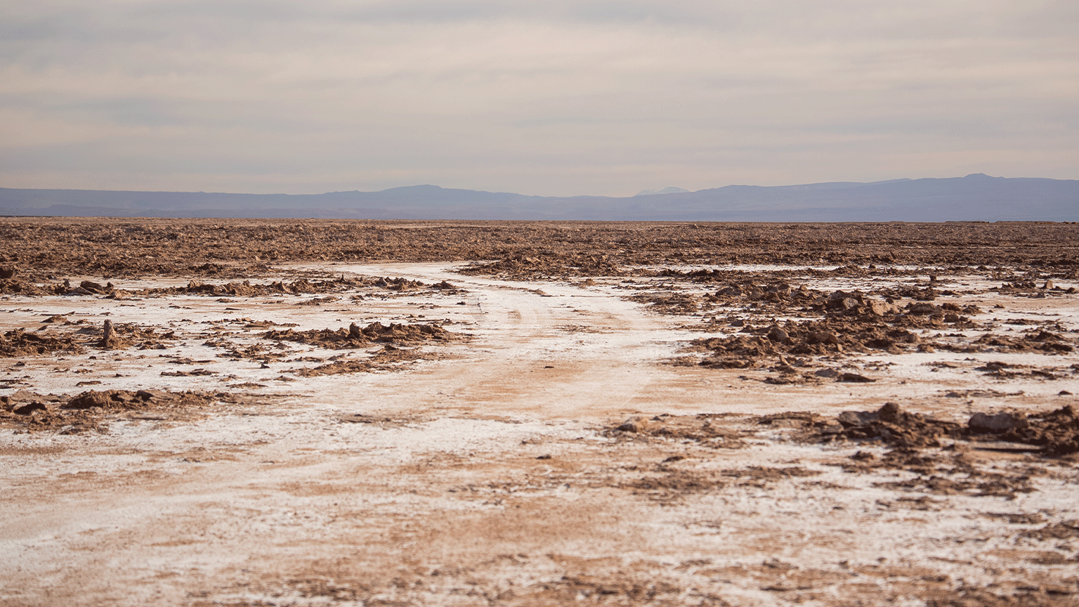 Iskopavanje litijuma u Čileu: 'Krade se naša voda, nestaju naše svete ptice' 3 atakama, čile