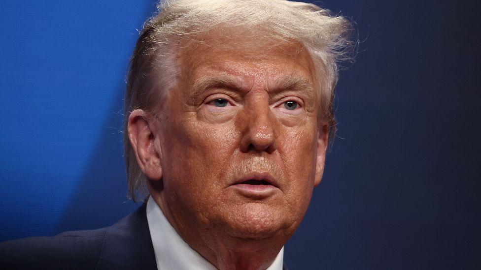 Portret predsednika Donalda Trampa