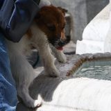 Leto 2025: Među najtoplijim i najsušnijim u istoriji merenja u Srbiji 4