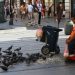 Beograd najtopliji grad ovog jutra, u 8 časova već izmereno 30 stepeni 2
