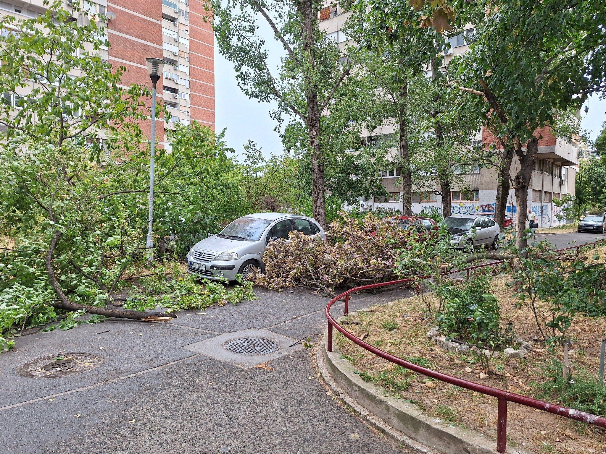 Grane su se obrušile na parkirana vozila