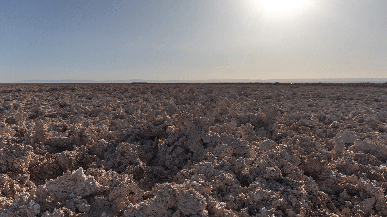 Iskopavanje litijuma u Čileu: 'Krade se naša voda, nestaju naše svete ptice' 11 Atakama