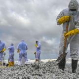 Sećate se potonulog broda kod Šri Lanke? Zagađenje je pogubnije nego što se mislilo 4