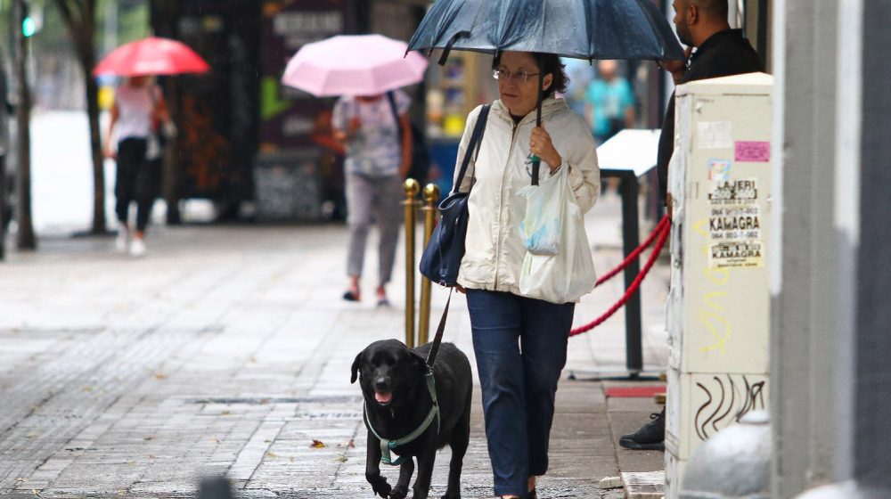 Sutra promenljivo oblačno, ponegde sa kišom 1
