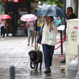 Sutra promenljivo oblačno, ponegde sa kišom 7