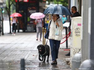 Vreme u Srbiji će sutra na severu i istoku zemlje biti promenljivo oblačno sa dužim sunčanim intervalima, dok se u ostalim krajevima očekuje oblačno vreme, ponegde sa kratkotrajnom kišom, saopštio je Republički hidrometeorološki zavod (RHMZ).