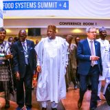 Poljoprivredna saradnja sa afričkim državama: Glamočić na samitu u Adis Abebi 9