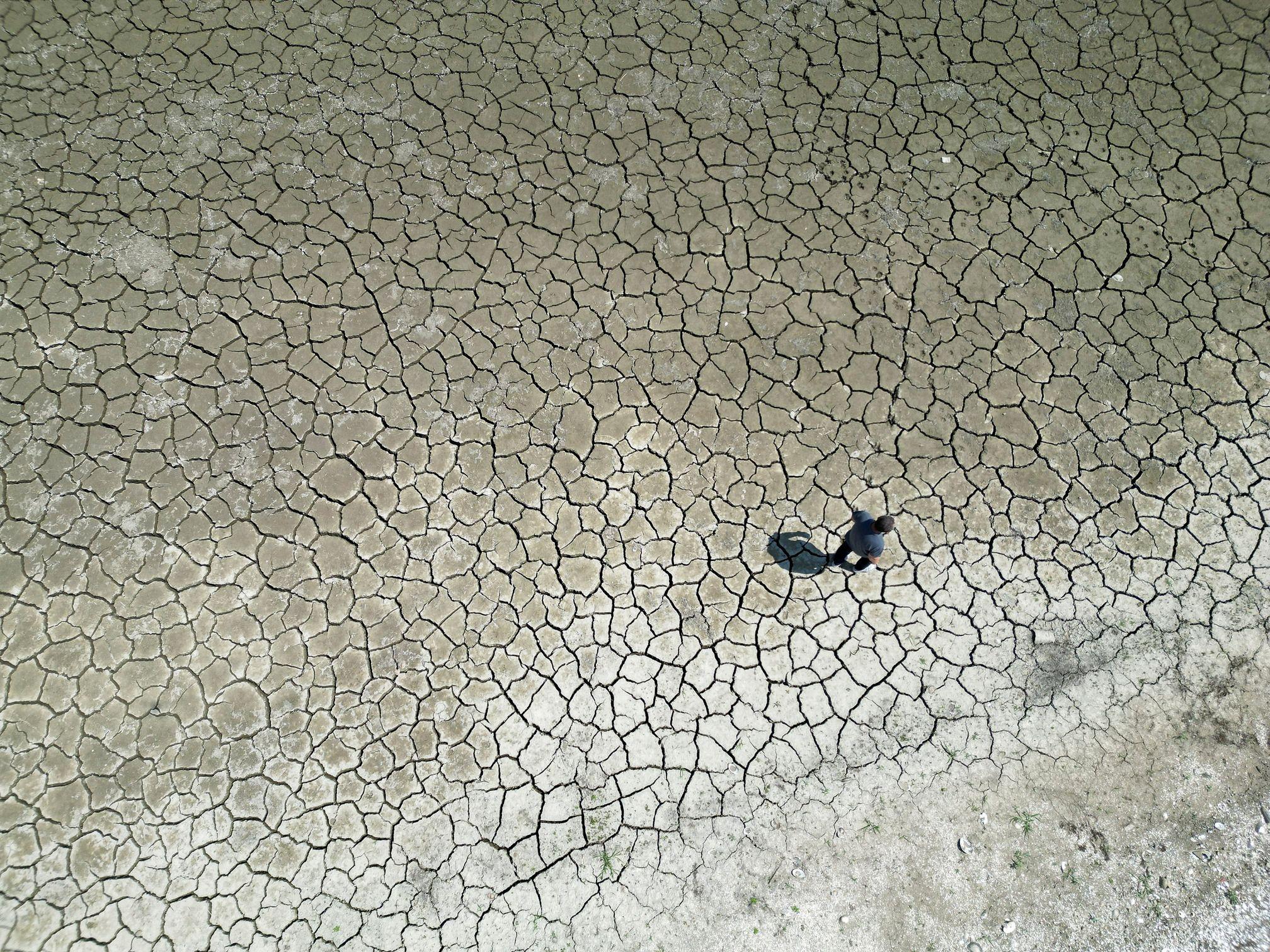 Kad vrućina uzme danak: Presušilo 'Šumadijsko more' 4 Čovek šeta po osušenom jezeru Gruža