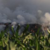 "Nadležni ćute i ne preduzimaju ništa": Divlja deponija kod Rekovca gori već 20 dana 4