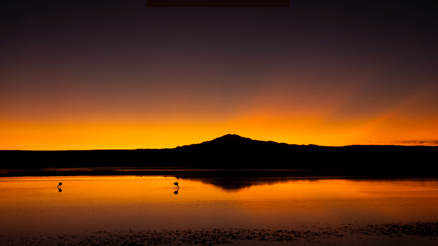 Iskopavanje litijuma u Čileu: 'Krade se naša voda, nestaju naše svete ptice' 12 atakama, zalazak sunca